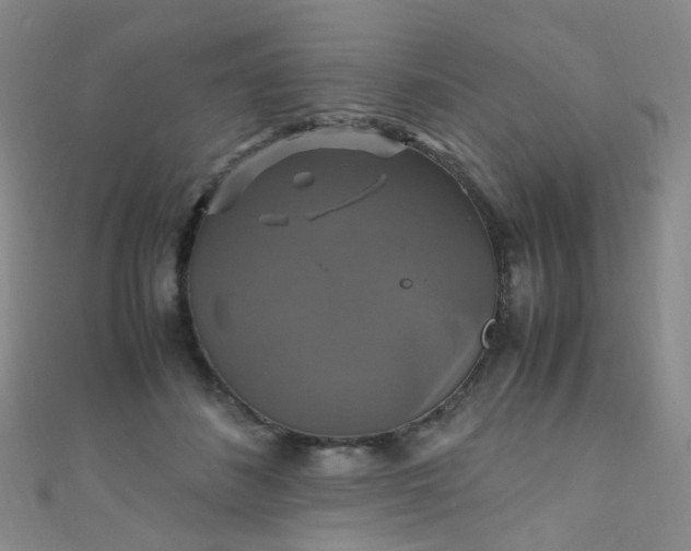 X0000110990508200907022119