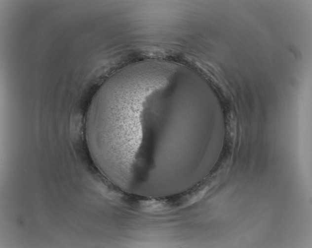 X0000110990511200907022119