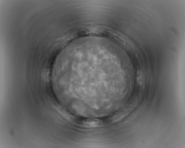 X0000110990514200907022119