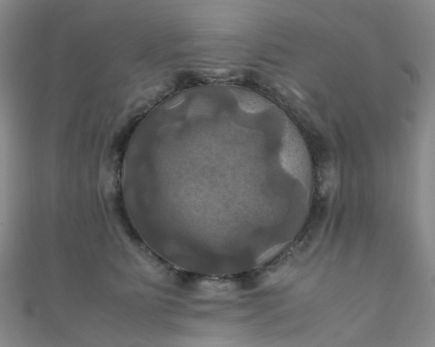 X0000110990515200907022119