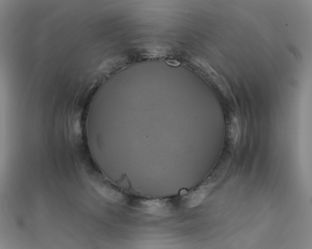 X0000110990516200907022119