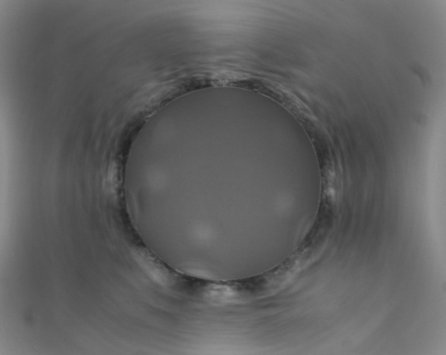 X0000110990519200907022119