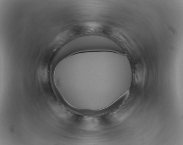 X0000110990520200907022119