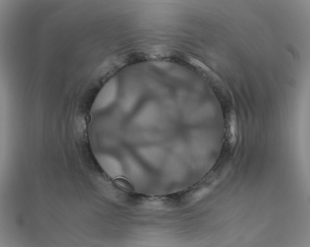 X0000110990523200907022119