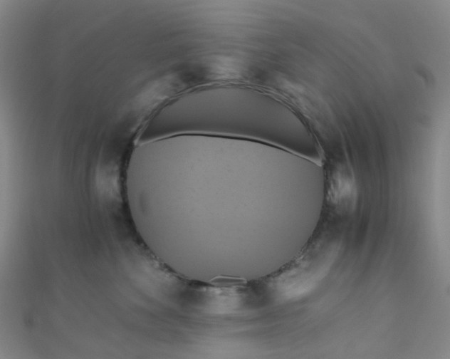 X0000110990524200907022119