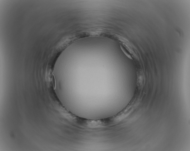 X0000110990525200907022119