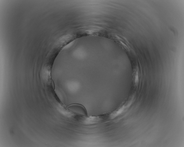 X0000110990527200907022119