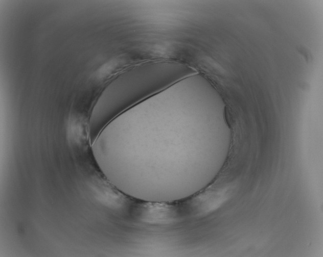 X0000110990528200907022119