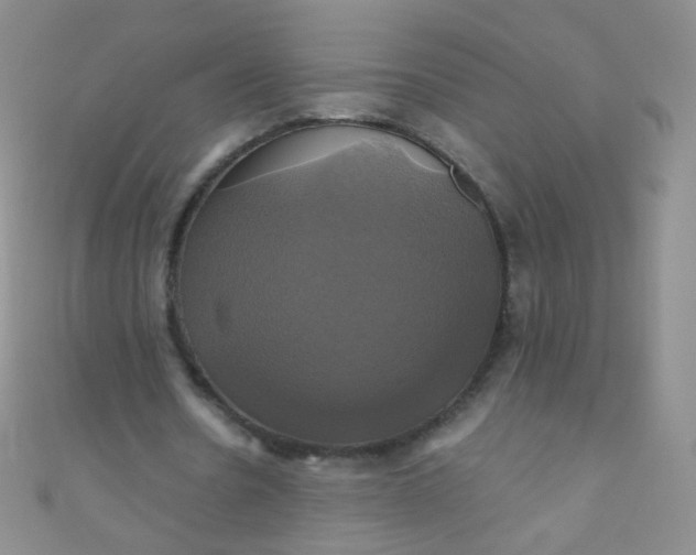 X0000110990530200907022118