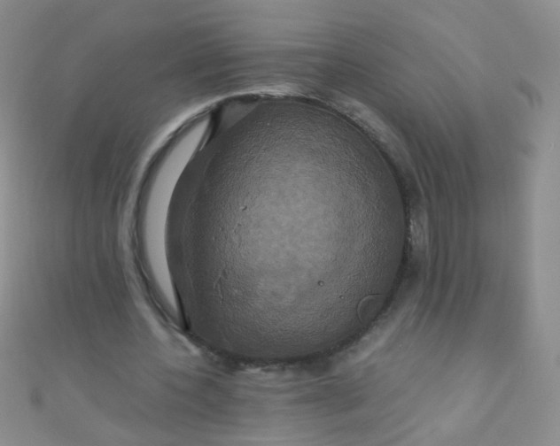 X0000110990532200907022118