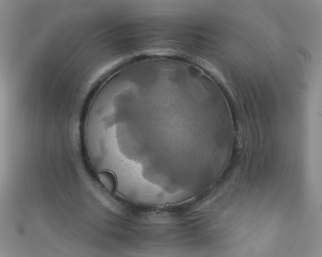 X0000110990535200907022118