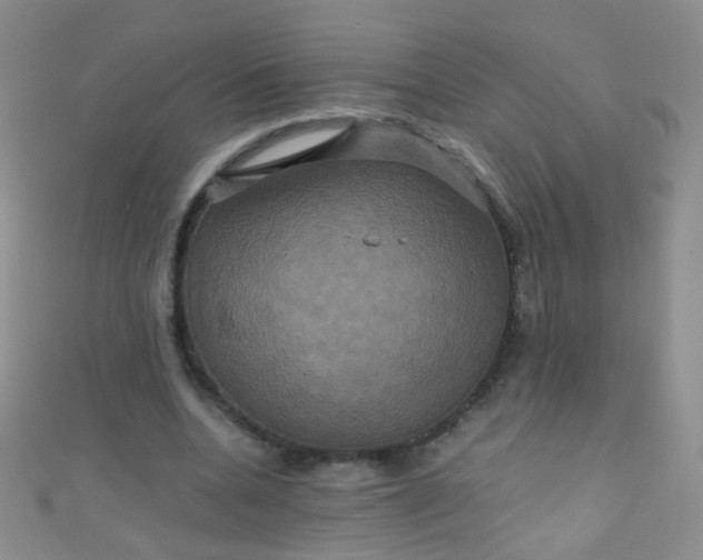 X0000110990536200907022118