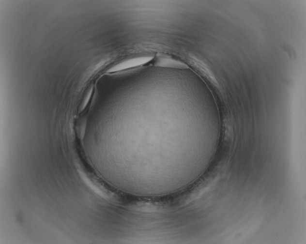 X0000110990538200907022118