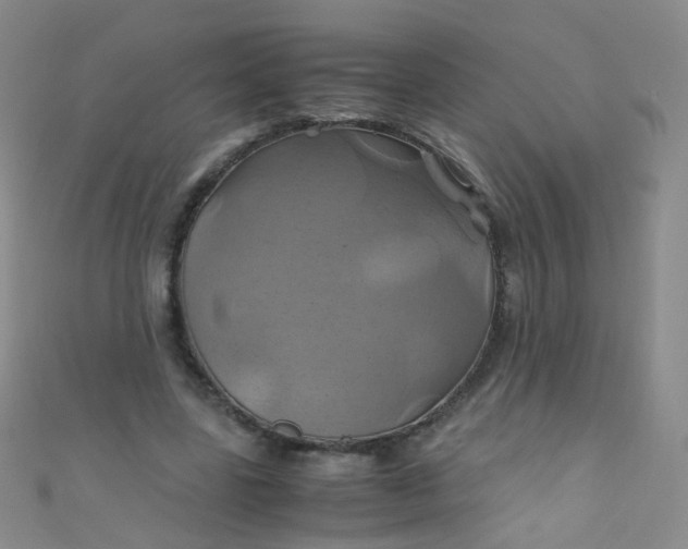 X0000110990539200907022118