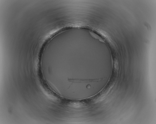 X0000110990540200907022118