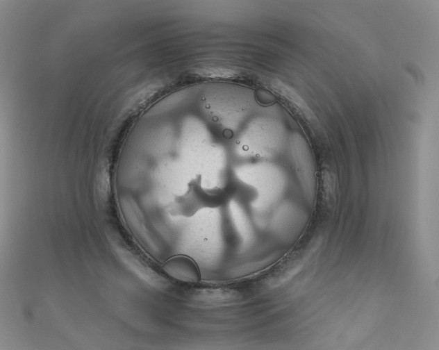 X0000110990541200907022118