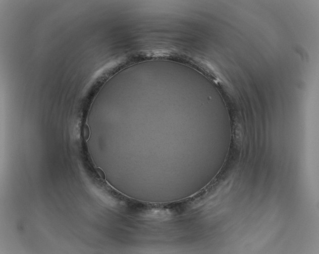 X0000110990543200907022118