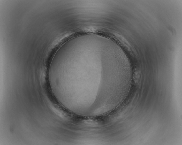 X0000110990544200907022118