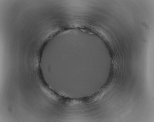 X0000110990546200907022118
