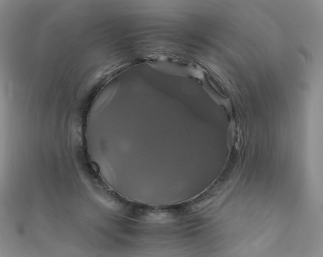 X0000110990547200907022118