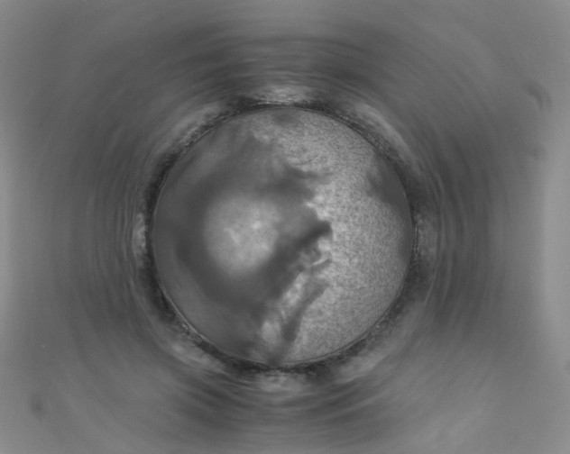 X0000110990549200907022118