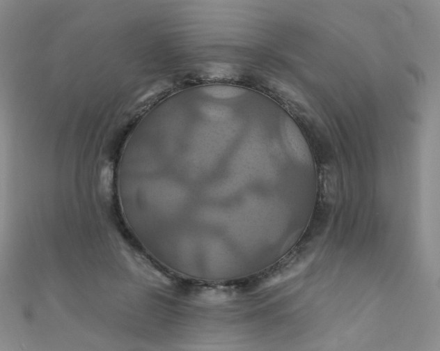 X0000110990550200907022118