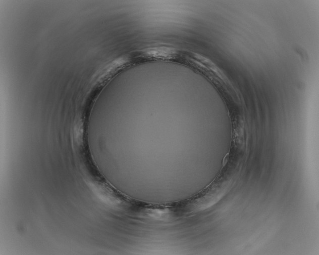 X0000110990552200907022118