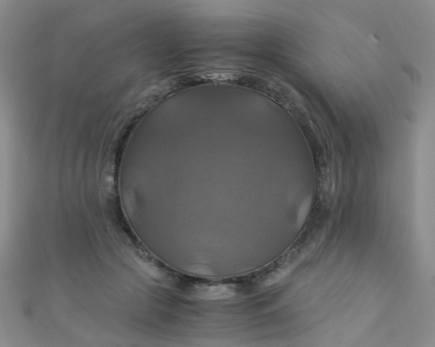 X0000110990553200907022118