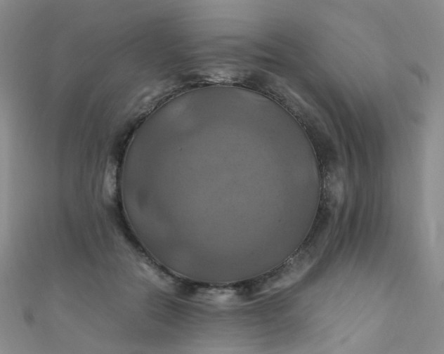 X0000110990554200907022118