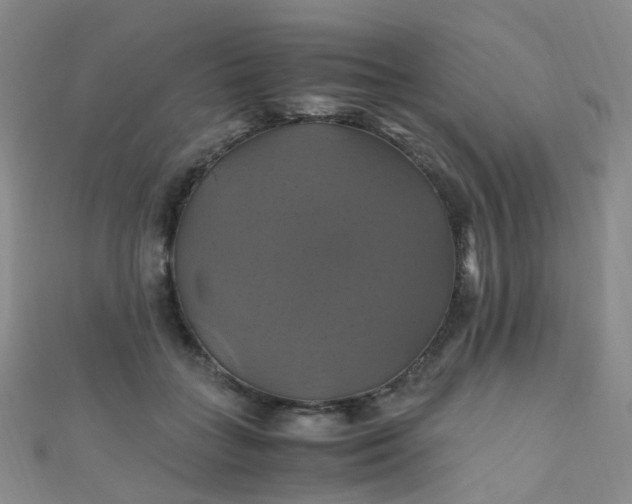 X0000110990555200907022118