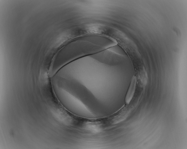 X0000110990556200907022118