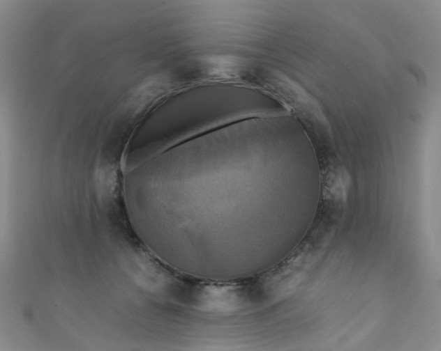X0000110990560200907022119