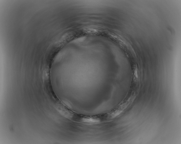 X0000110990561200907022119