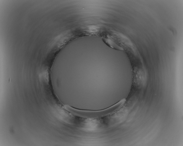 X0000110990562200907022119