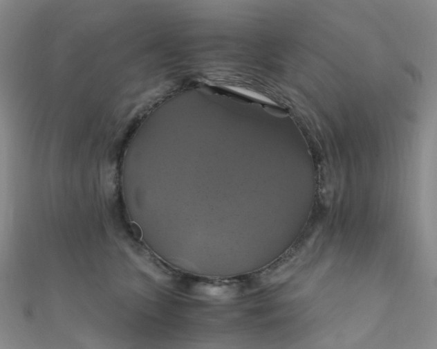X0000110990563200907022119