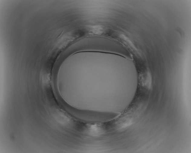 X0000110990564200907022119