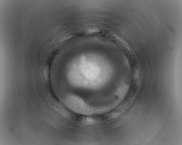 X0000110990565200907022119