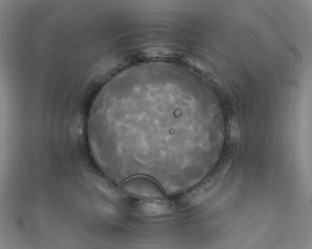 X0000110990567200907022119