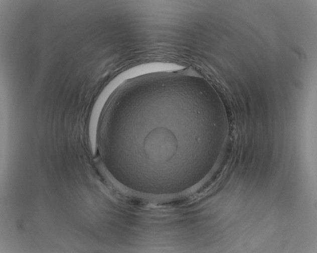 X0000110990568200907022119