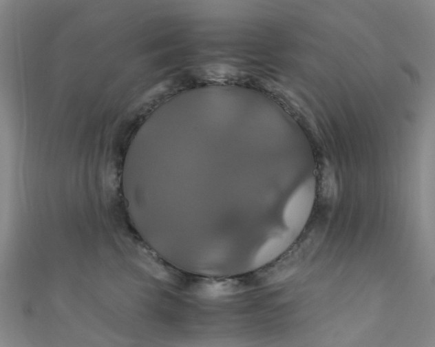 X0000110990569200907022119