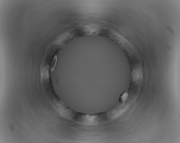 X0000110990570200907022119