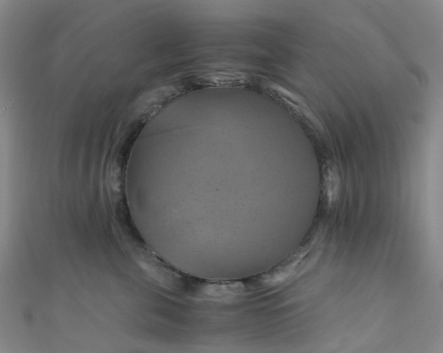 X0000110990571200907022119