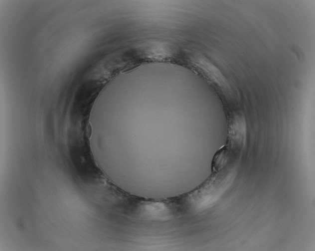 X0000110990572200907022119