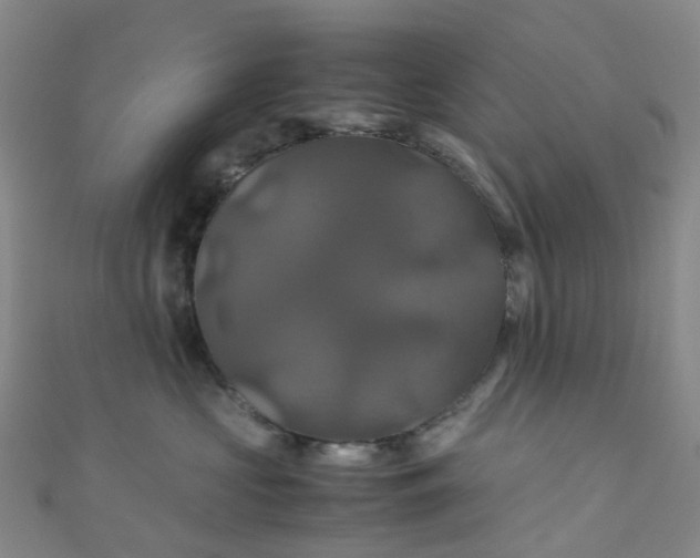 X0000110990573200907022119