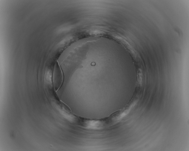 X0000110990575200907022119