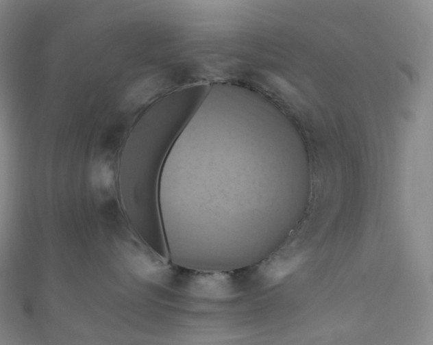 X0000110990576200907022119