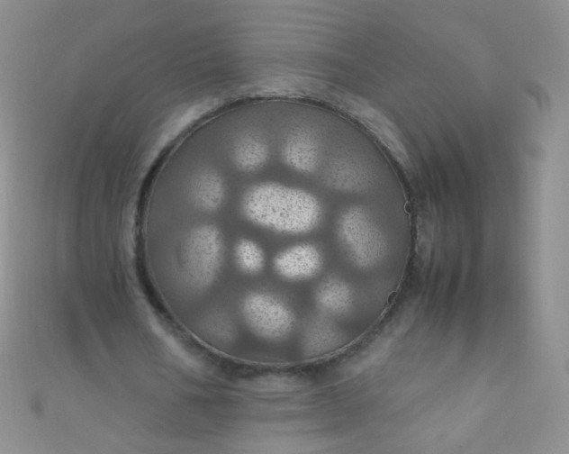 X0000110990578200907022118
