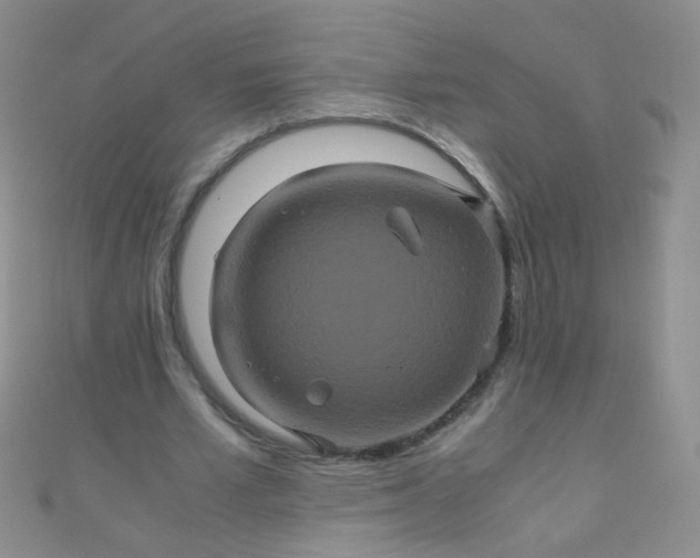 X0000110990581200907022118