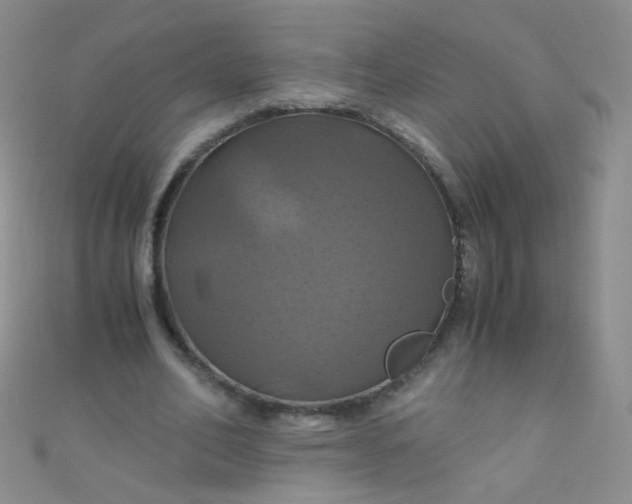 X0000110990582200907022118