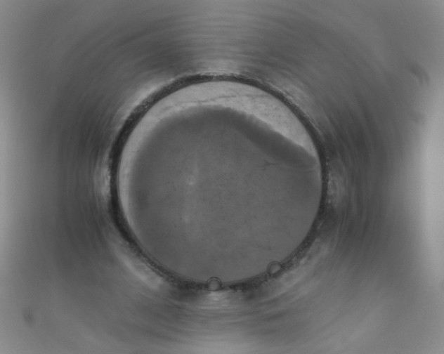 X0000110990584200907022118